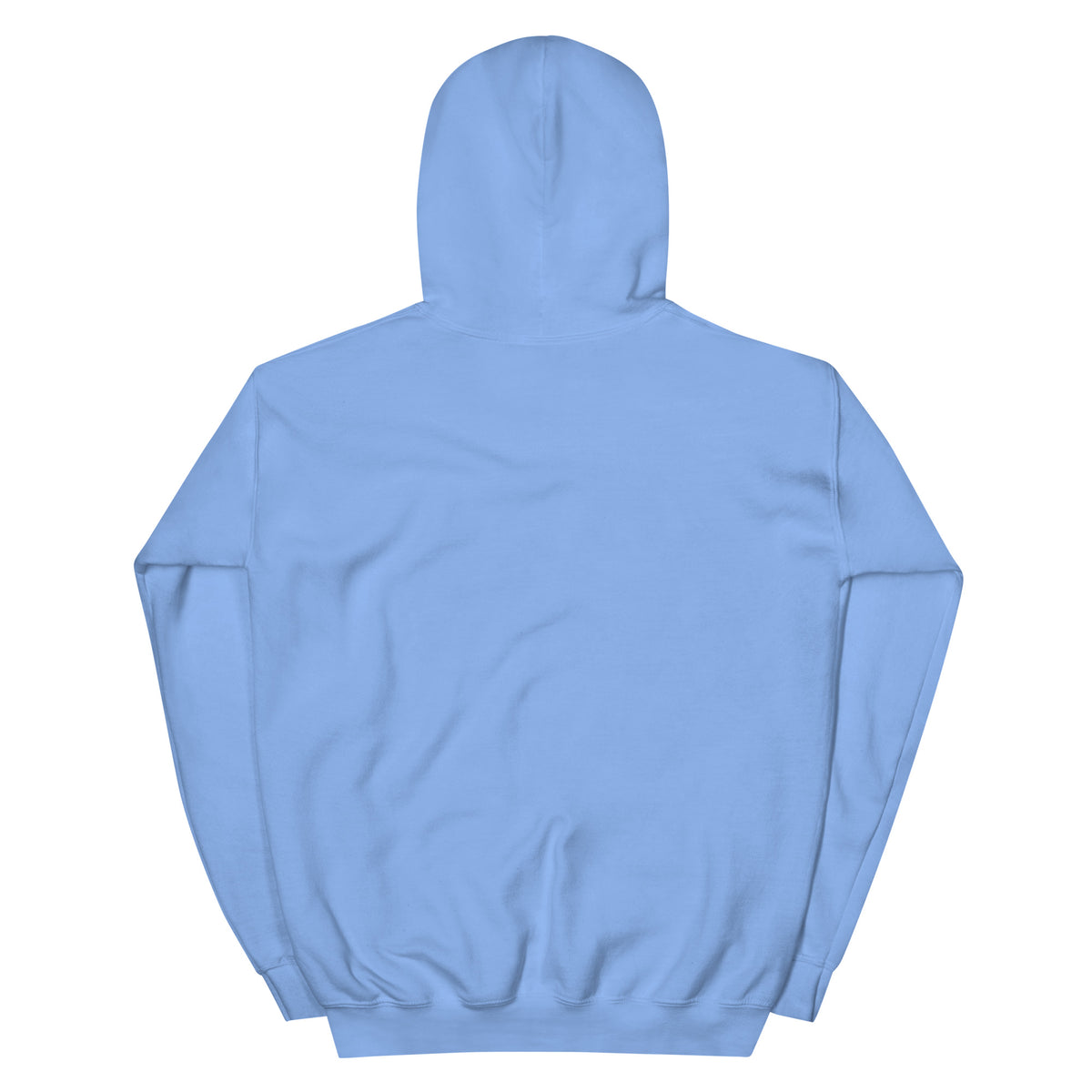 Back of the Carolina Blue Professional Cookie Tester Hoodie, plain with no print