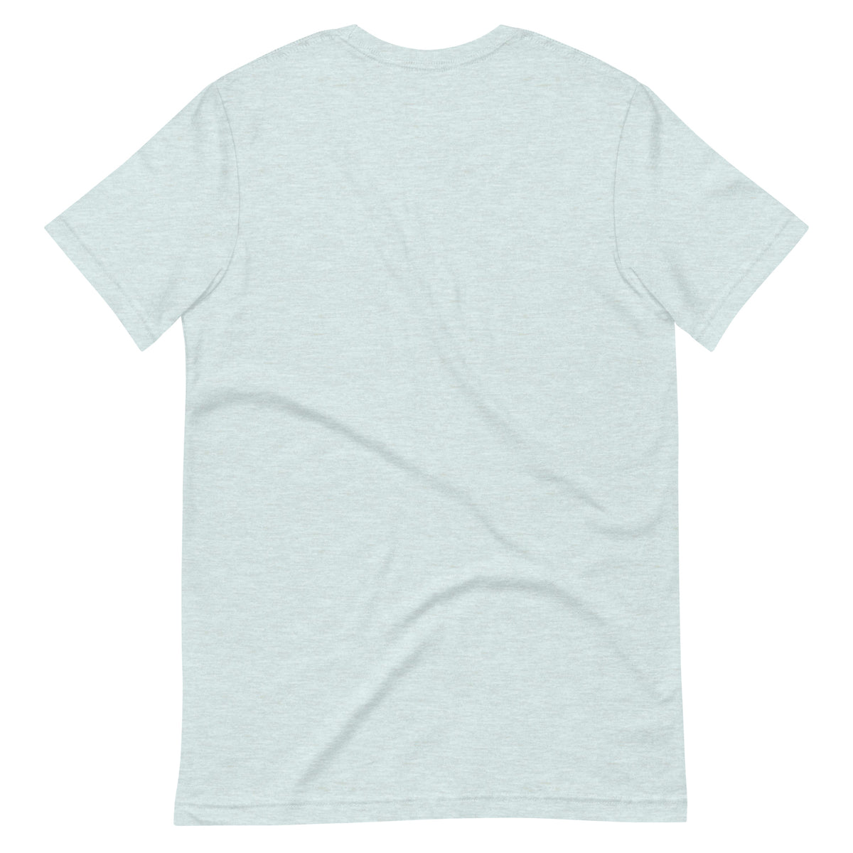 Back of the ice blue 2027 Countdown Badge Tee, plain with no print