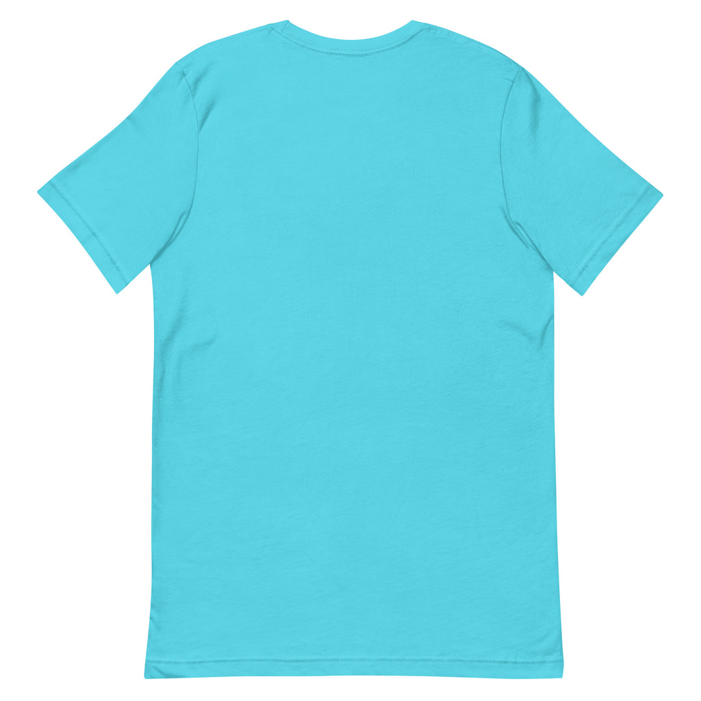 Back of the turquoise Christmas at the Lake Tee, plain with no print